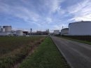 Usine sucrière